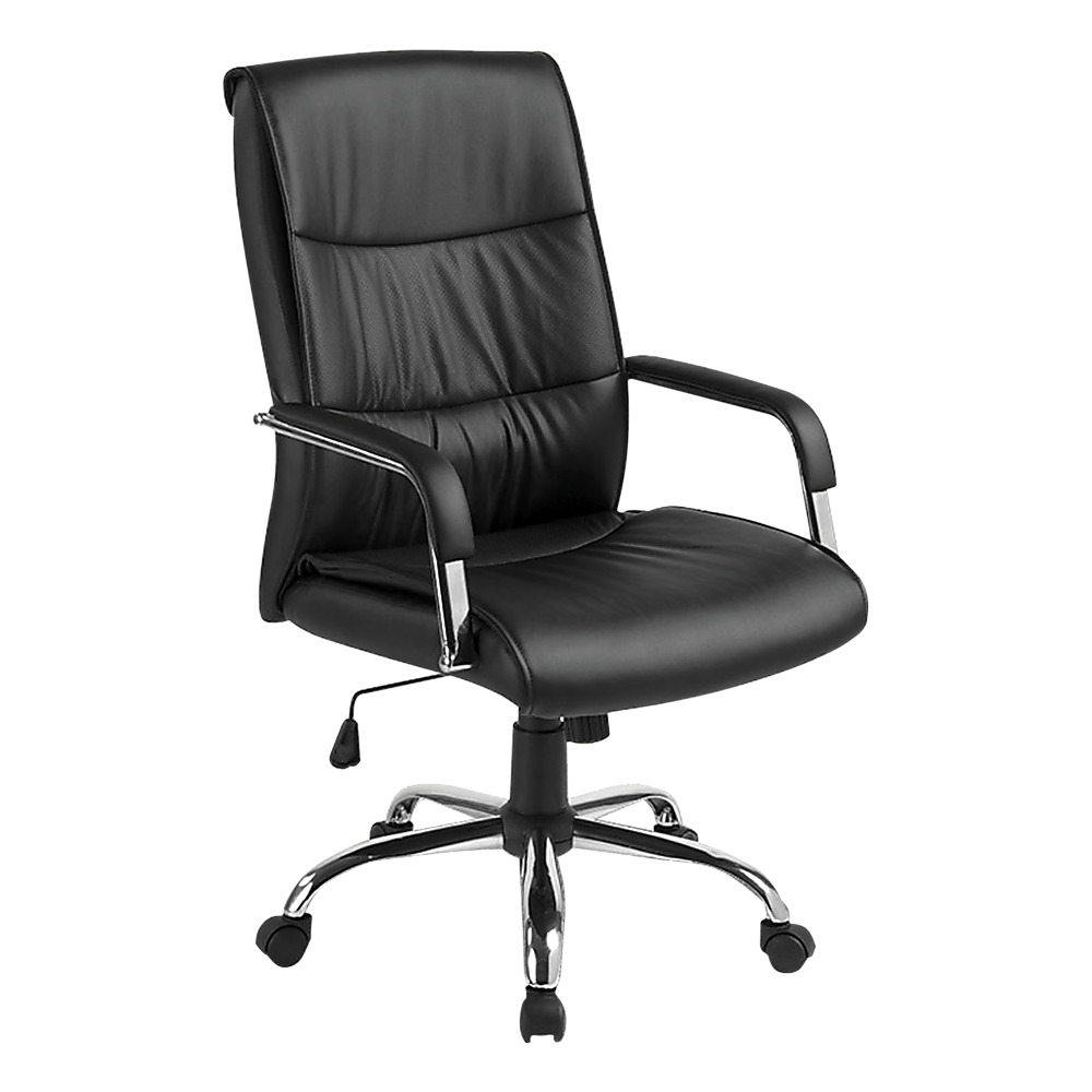 Executive Padded Office Chair (Black)